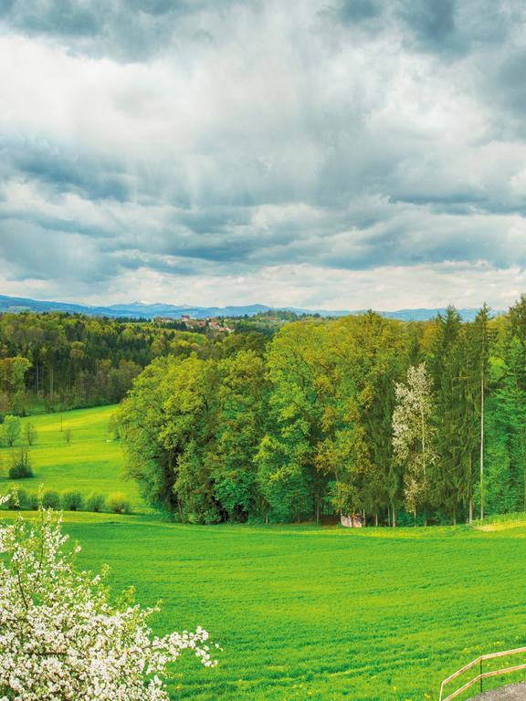 Fruehstueckspension Zanglhof Ланнах Экстерьер фото